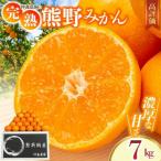 仲森農園の極早生温州みかん 約7kg