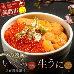 塩水うに 生ウニ 100g
