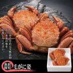 ふるさと納税 紋別市 【北海道産】毛がに姿 2尾計約1.0kg 【無添加】 |かに 毛がに 高品質