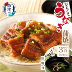 うなぎ a15-533 静岡自鰻 蒲焼 肝吸付