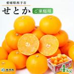 せとか ご 4kg