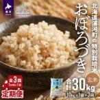 特別栽培米 おぼろづき 玄米 10kg×1袋