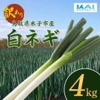 fu.... налог Yonago город Tottori префектура производство [ есть перевод ] белый лук-батун 4kg