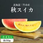 fu.... налог три . город {2026 годовой объем принимается } осень ... быть красный цвет арбуз or желтый цвет арбуз 2~4 шар ( примерно 9kg)[01149]