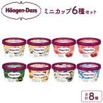 ふるさと納税 浜中町 ハーゲンダッツ『定番ミニカップ8個セット』アイスクリーム_440205