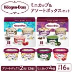 ふるさと納税 浜中町 ハーゲンダッツ バラエティセット(アソート&ミニカップ)_H0026-026