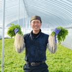 生産者直送 三関産せり 5束