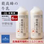 ふるさと納税 天塩町 【定期便 6ヶ月】 最高峰の牛乳 2本(900ml×2本) お楽しみ おまけ付き