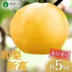 和梨 新興 特秀品 約5kg