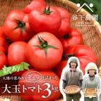 先行受付 訳アリ 約3kg