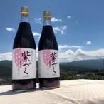 食ごころ 紫づく 山ぶどうジュース 2本セット