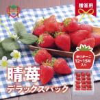 しあわせ届けるいちご農園HappyComeComeの晴苺450g
