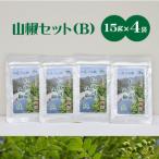 山椒セットB