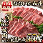 おおいた和牛 カルビ 2種焼肉セット