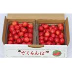 ふるさと納税 上山市 さくらんぼ(佐藤錦)1kg 2Lサイズ 0069-2503