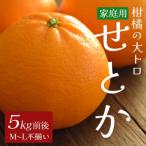 ショッピングせとか ふるさと納税 大月町 せとか 約5kg 家庭用 高知県産 ハウス栽培
