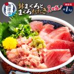 a12-322 刺身用ビンチョウまぐろとまぐろたたき2種盛り約1kg