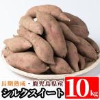 <紅はるか>土付き 10kg