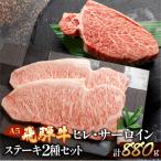 飛騨牛ヒレ約500g サーロイン約380gステーキセット