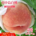 もも 川中島白桃 約2.7kg