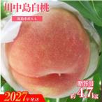 もも 川中島白桃 約4.7kg