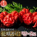 花咲がに600g×2尾 B-20001