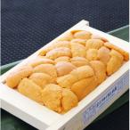 ふるさと納税 根室市 エゾバフンウニ70〜80×1折[2026年3月上旬以降発送]  A-53020