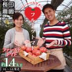 3ヶ月しか食べられないファーストトマト 約1.4kg
