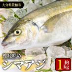鮮魚 シマアジ 1本