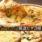 ふるさと納税 浜中町 【北海道チーズ工場のピザ】チーズたっぷりの厳選ピザの詰め合わせ_010304-02