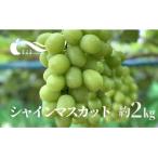 ふるさと納税 福島市 ぶどう(シャインマスカット)(約2kg)【2025年発送】No.2334