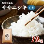 特別栽培米 ササニシキ 白米 10kg