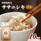 特別栽培米 ササニシキ 玄米 10kg