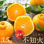 訳あり 不知火 約3.5kg