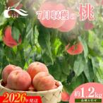 ふるさと納税 福島市 もも　7月収穫の桃　約1.2kg【2026年発送】No.2327
