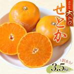 ショッピングふるさと納税 訳あり ふるさと納税 紀宝町 訳あり せとか 3.5kg+200g(傷み補償分) 【2月下旬頃〜順次発送】【njb682A】