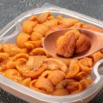 ふるさと納税 根室市 むきたて塩水ウニ(赤系含む)100〜110g[2026年1月中旬以降発送] A-81017