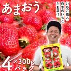 ふるさと納税 小郡市 いちご 白木のいちご あまおう 300g×4パック詰め (M〜3Lサイズ)[No5354-0592]
