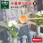 お墓参り代行B 墓石掃除を含む1.5時間程度×2回