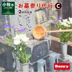 お墓参り代行C 墓石掃除を含む2.0時間程度