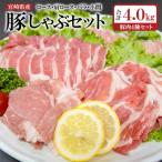 合計4kg