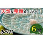 贅沢な食べ比べ みつごの天然と養殖とらふぐセット 計6人前