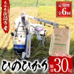 <令和7年産><定期便
