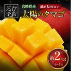 ふるさと納税 宮崎県 ≪先行予約≫ 宮崎県産 完熟マンゴー「太陽のタマゴ」約2kg 計4〜6玉 2026年発送 ブランド