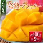 ふるさと納税 宮崎県 ◆宮崎県産 完熟マンゴー(9玉)