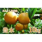 ふるさと納税 福島市 なし 特秀「豊水」約10kg【2025年発送】No.2519