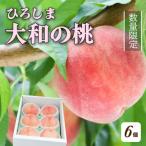 部谷桃園 ひろしま大和の桃 6個セット