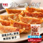 paoの無添加餃子 カレーぎょうざ 640g