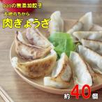 ふるさと納税 三原市 paoの無添加餃子「大地のちから 肉ぎょうざ」[058-008]