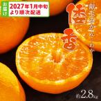 土佐乃かなや 献上みかん 倭香 わか 2.8kg